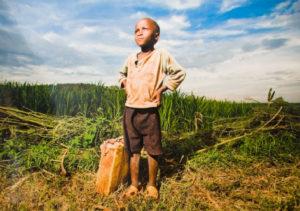 Un niño africano lleva agua en una plantación de caña