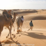 Excursión en camello por el Sáhara (© Strubell/Martínez-Pantoja)