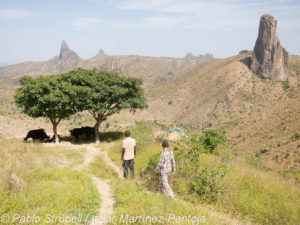 Caminando por los alrededores de Rumsiki (© Strubell/Martínez-Pantoja)