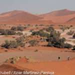 Dunas cerca de Sossusvlei (© Strubell/Martínez-Pantoja)