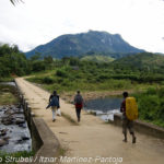 Parque Nacional de Marojejy (© Strubell/Martínez-Pantoja)