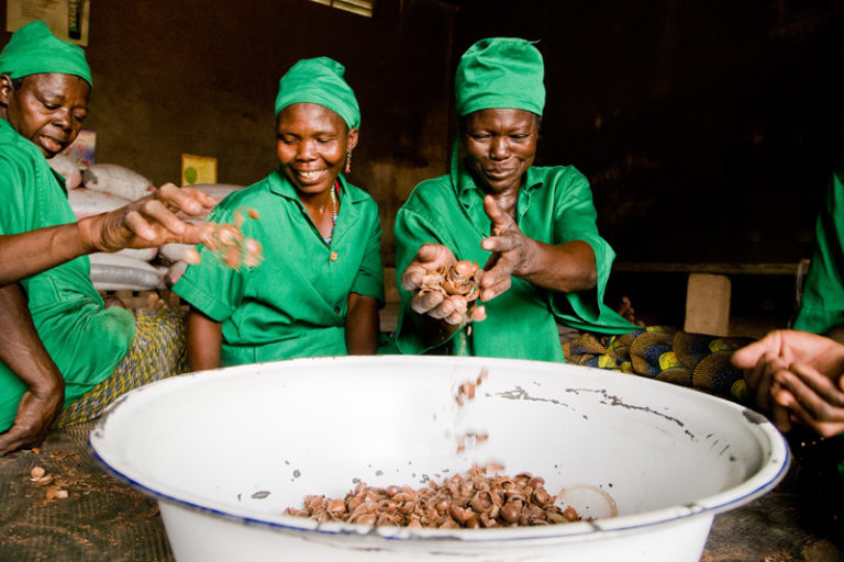 Un grupo de mujeres recolecta karité en una asociación local de Ouagadougou (Imagen de Marta Conti)