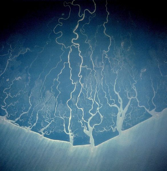 Imagen de satélite del delta del Níger (Nasa / Wikimedia Commons)