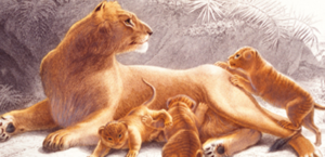 Portada de «Cuentos históricos del pueblo africano» (Ediciones Almuzara, 2010).