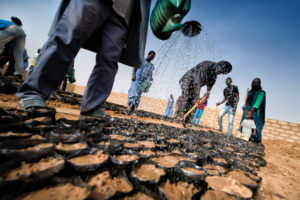 En Somalia, El Niño está produciendo una escasez severa de alimentos y agua. Imagen: PMA/Argon Dragaj