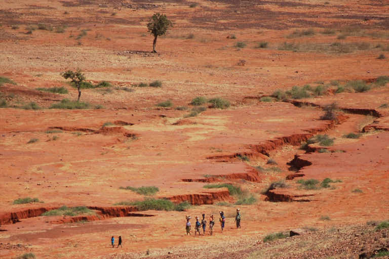 La OCDE publica un informe que analiza la cooperación transfronteriza en África Occidental (Imagen: Daniel Tiveau/CIFOR)