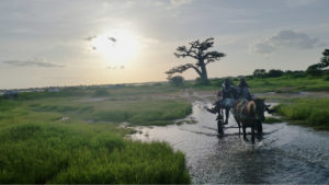 La sede de Casa África se quedó pequeña para el Club de Lectura. Por eso decidieron viajar en septiembre a Senegal y Gambia (Imagen: Teresa Monzón/Pedro Naranjo) 