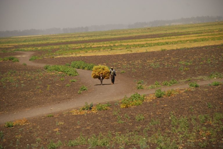 El camino de la reconciliación entre Etiopía y Eritrea (imagen: Joan Tusell)