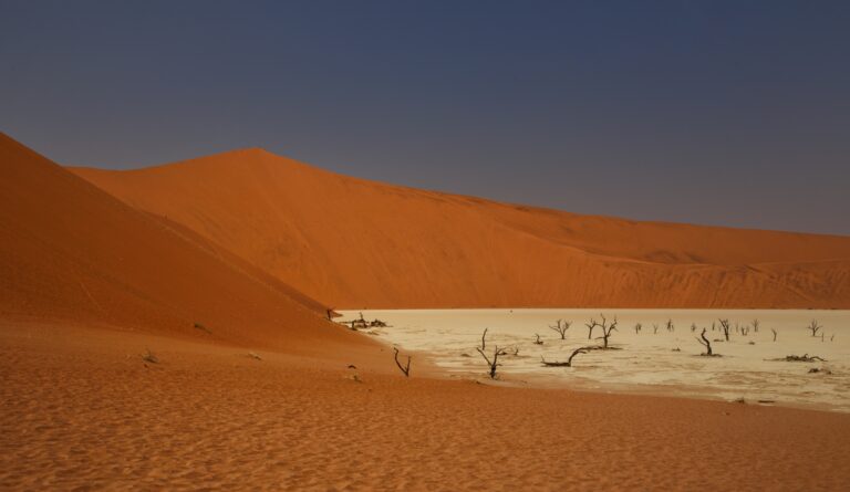 La 'Semana del Clima en África' reunió a más de 1.000 personas en Gabón para preparar la COP27. Imagen: bernd-dittrich-LssW6hyGFHg-unsplash