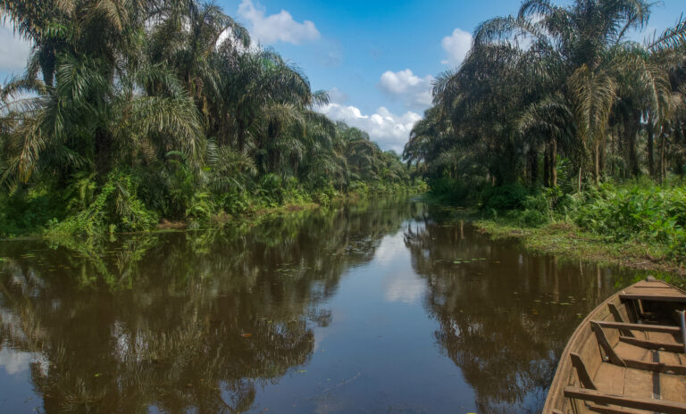 Rivera del río Adjarra de Benín. Imagen de James Nature Pics para Adobe Stock